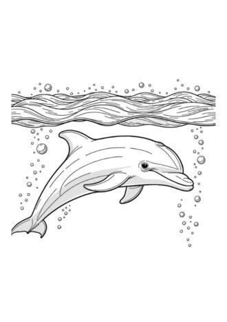 Delfínes para colorear