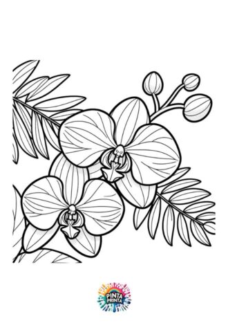 orquidea1 para colorear